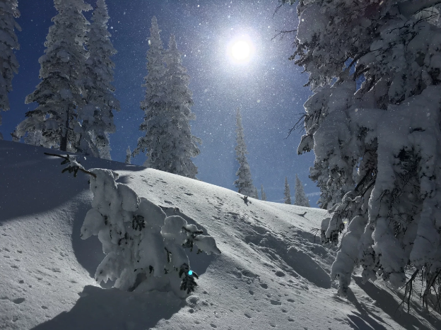 The Ski Locker - Steamboat Springs image 4