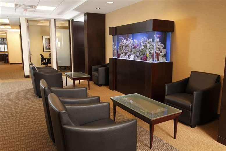 Stark Business Solutions, Inc. image 2