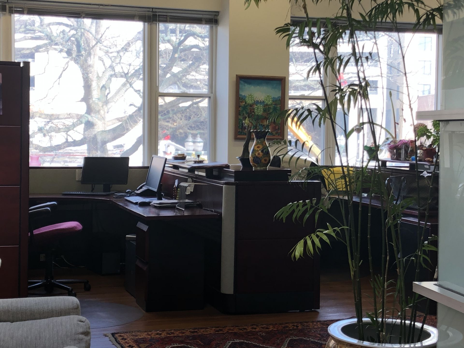 Overseas Development image 4