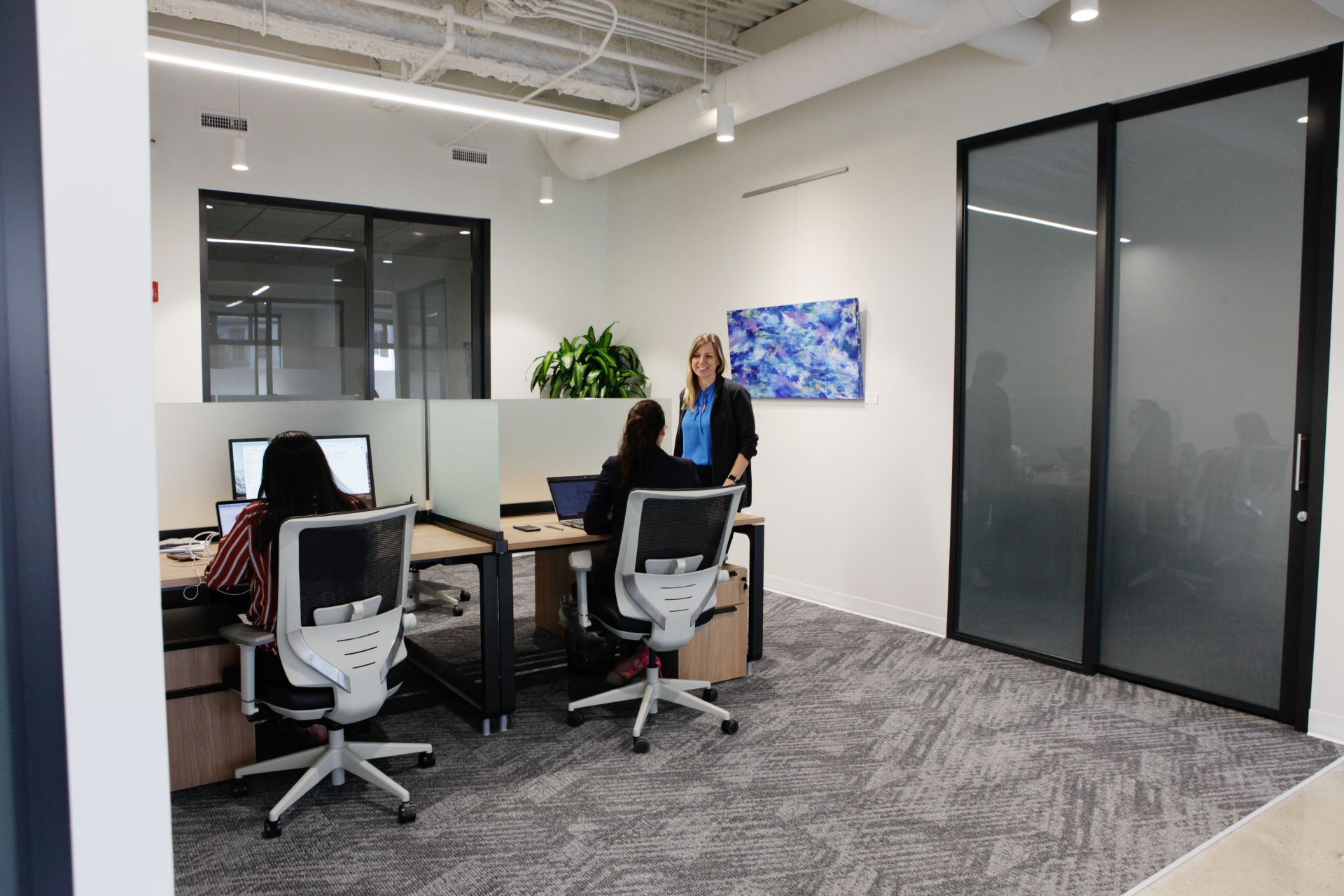 Serendipity Labs - Westport image 4