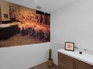 The Flamingo House image 3