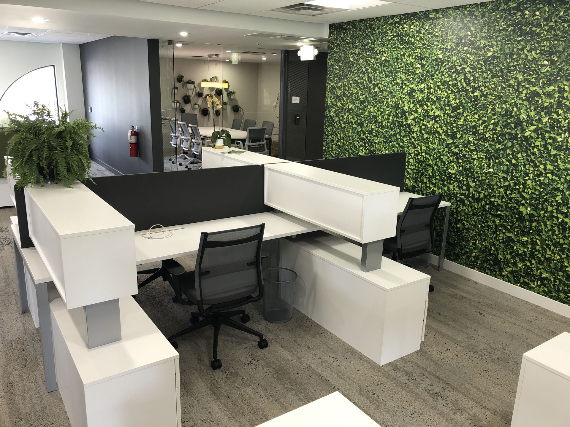 Seed Workspace image 5