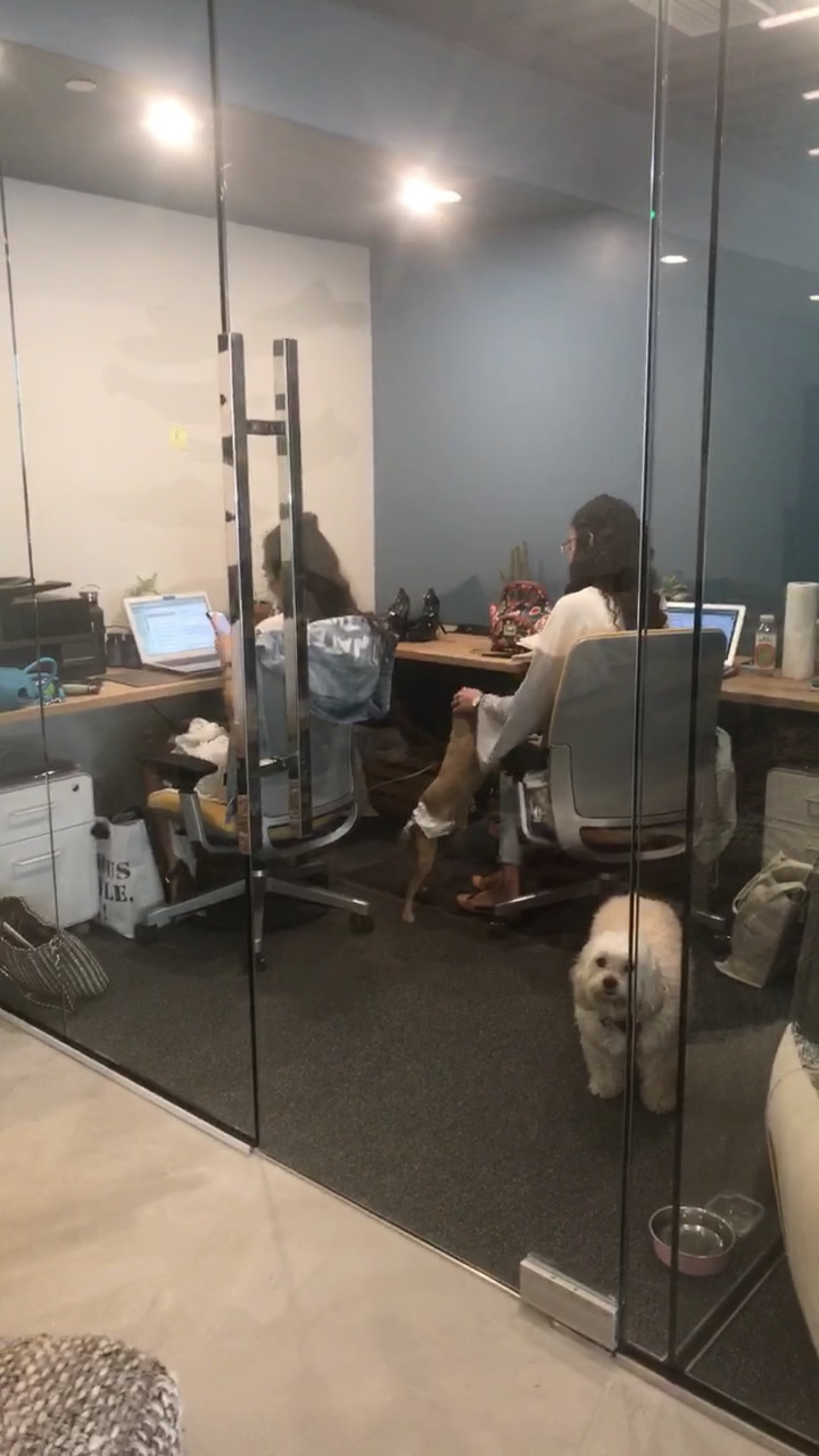 Tedge Mindful Coworking image 5