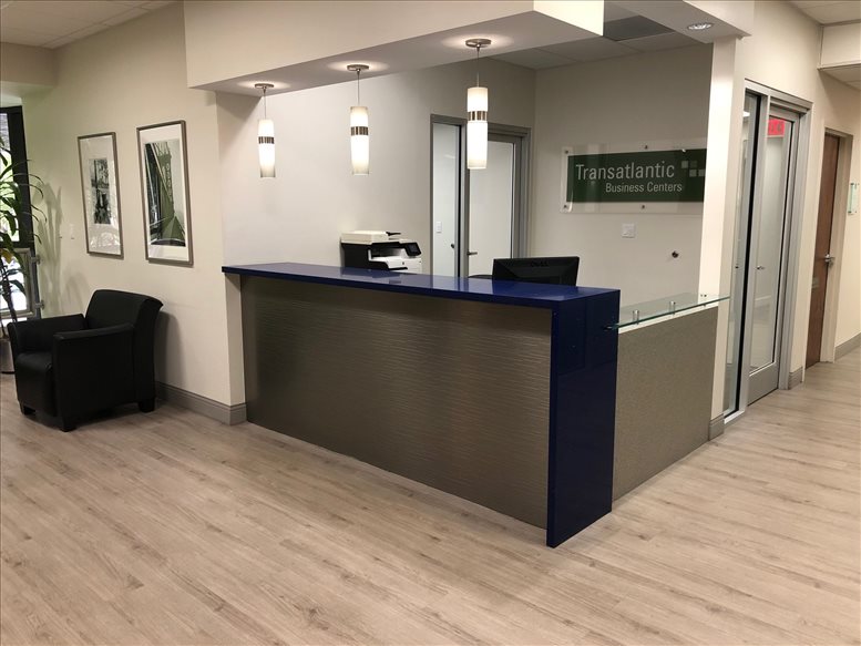 Transatlantic Investment image 5