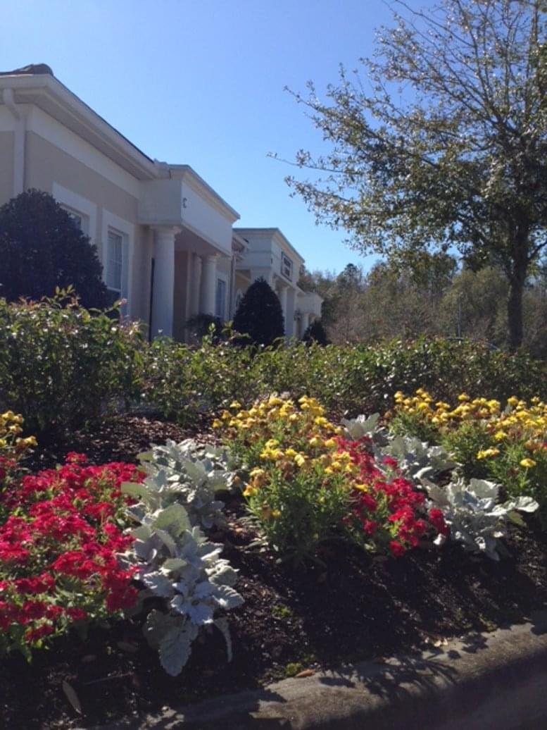 Tampa Palms Professional Center image 5