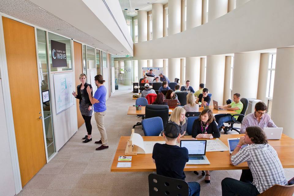 Tampa Bay Wave image 3