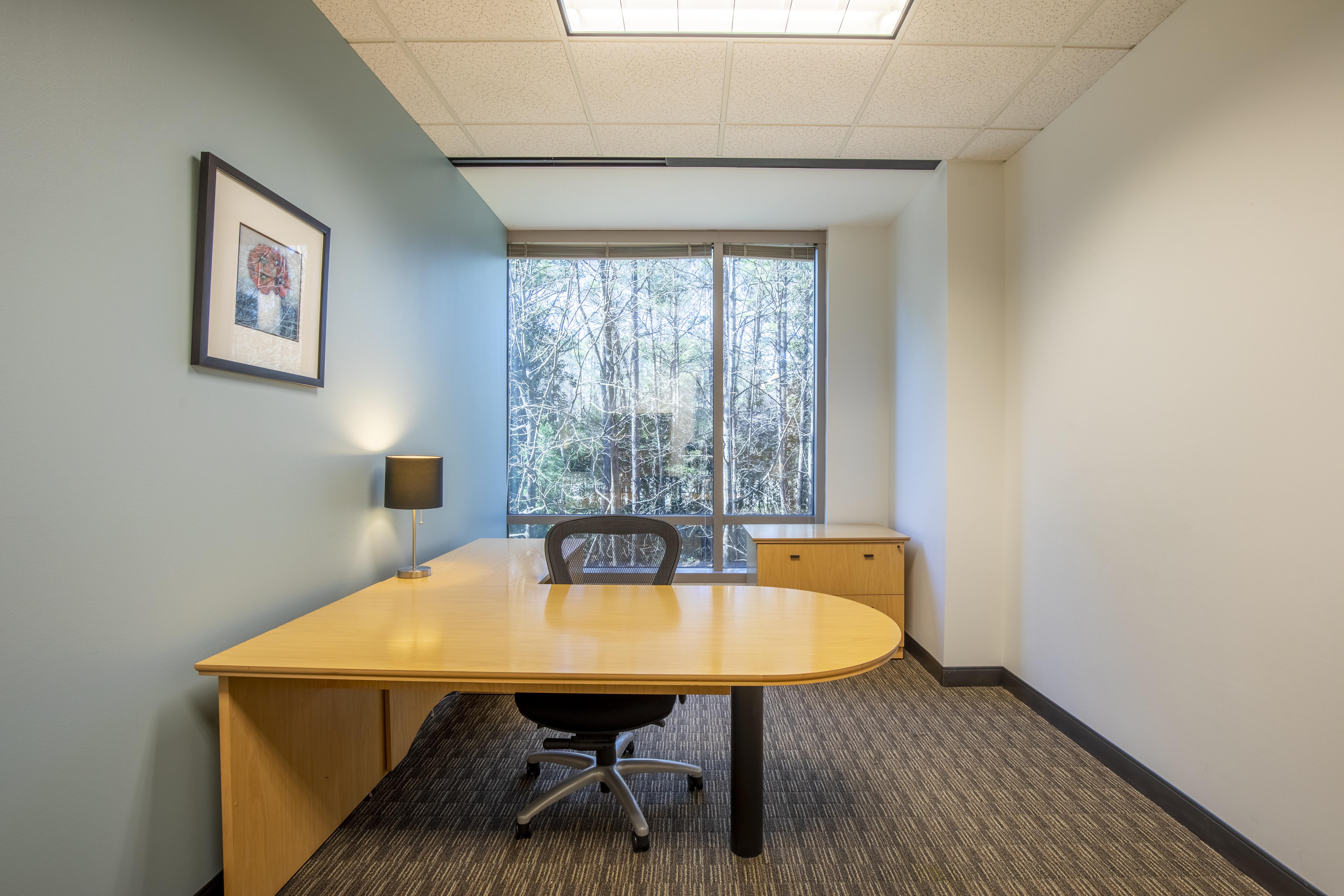 Regus - Georgia, Alpharetta - North Point image 3