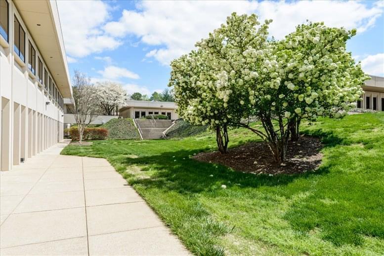 Boxer Property image 2