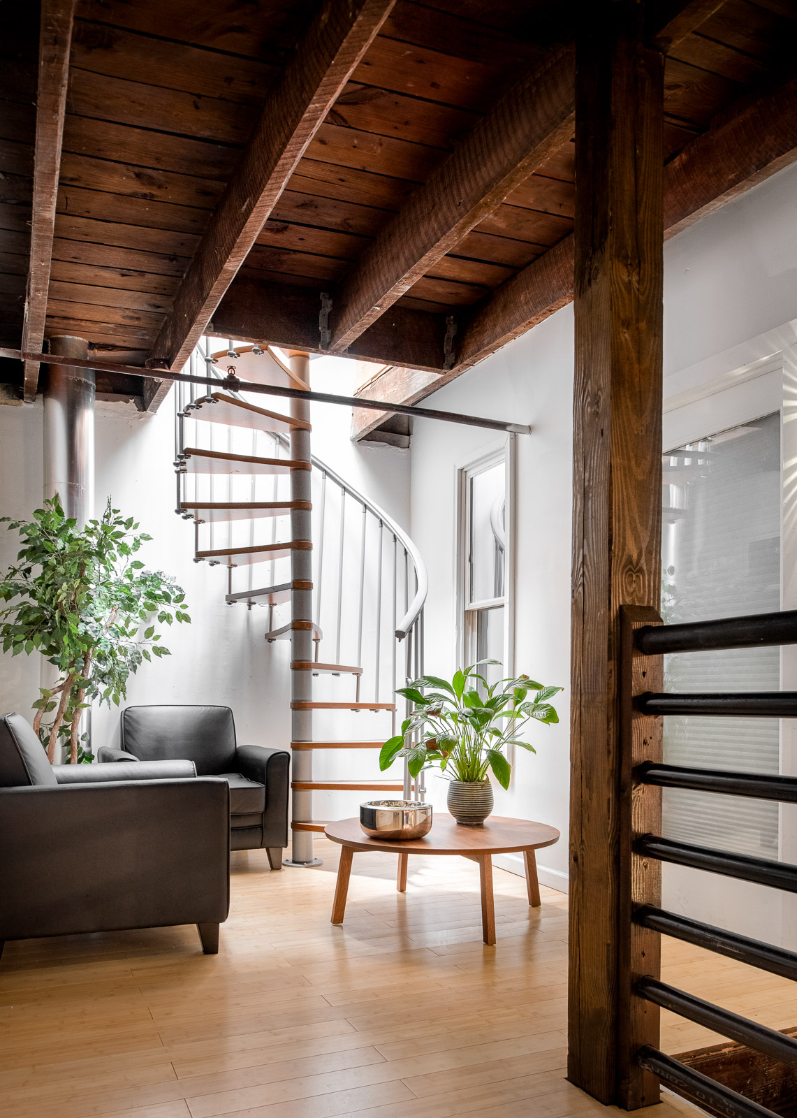 Alkaloid Networks image 4