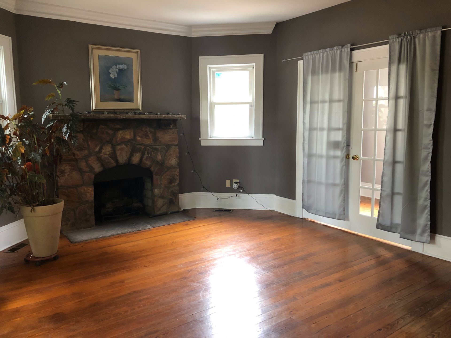 Blue House Wellness image 3