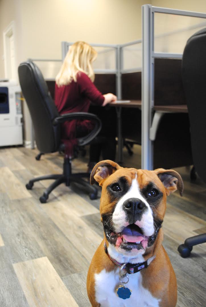 Workspace @ Canton Street Crossing image 2