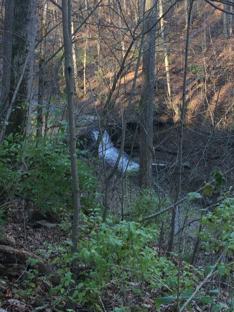 Land O' Goshen Farm & Event Center image 4