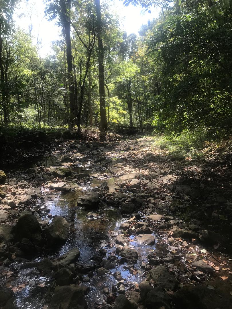 Land O' Goshen Farm & Event Center image 5