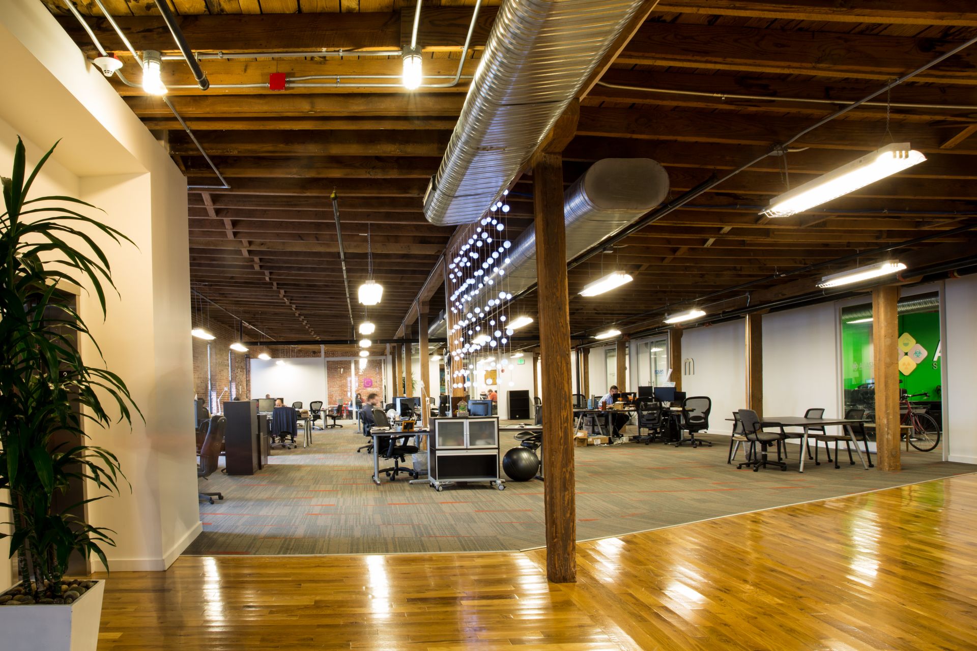 Beehive Baltimore image 4