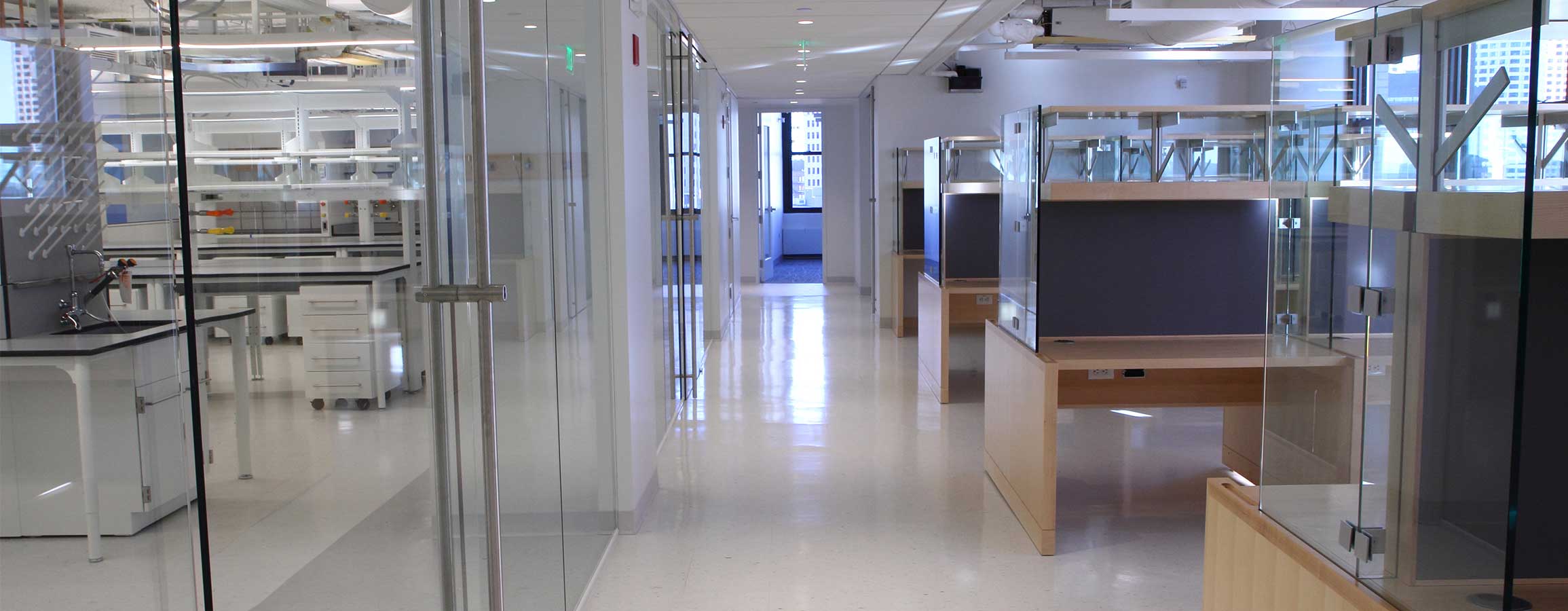 BioLabs Boston image 5