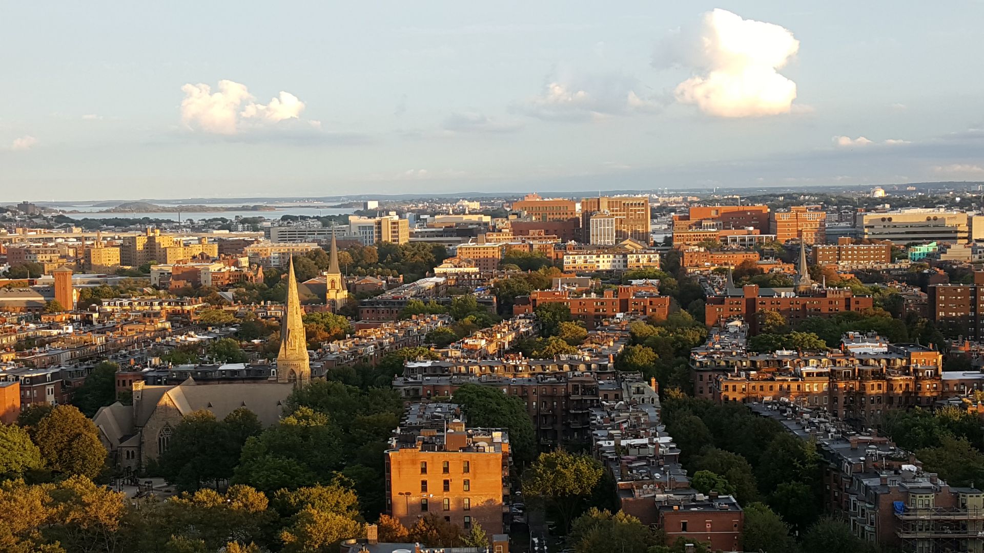 Business District image 5