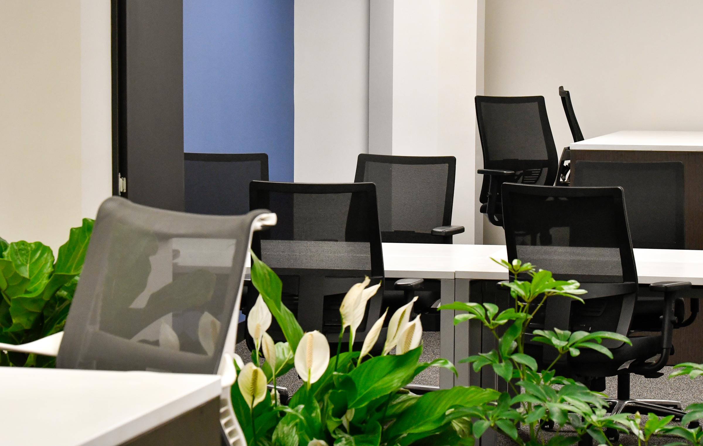 LocalWorks Beverly image 5