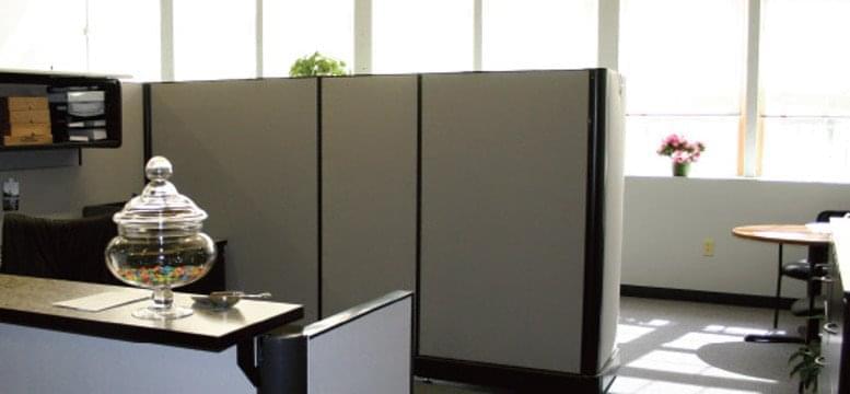 Phoenix Park image 3