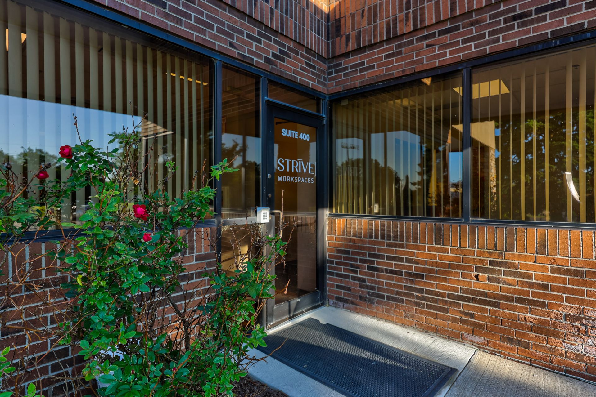 Strive Ann Arbor image 2