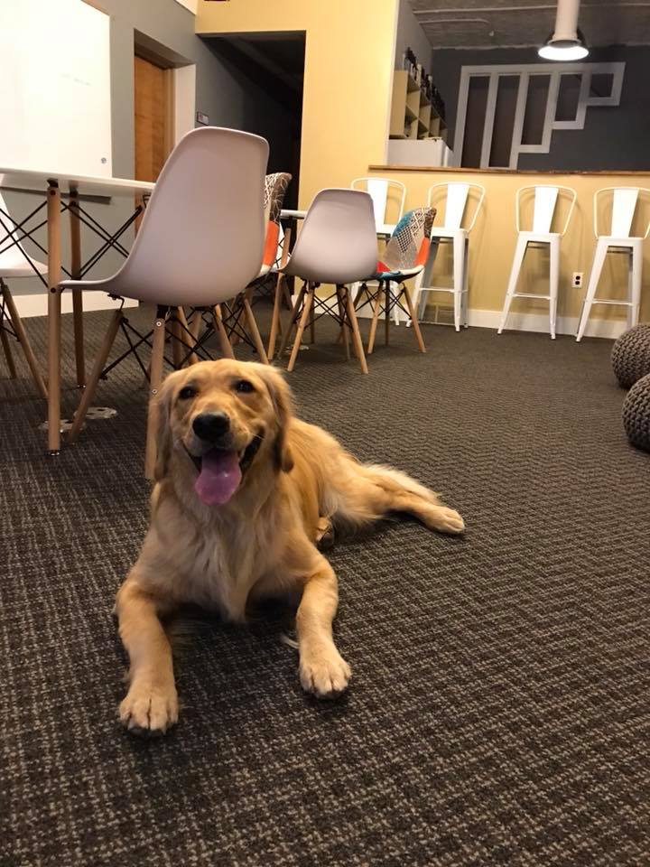 The CoLABorative image 3