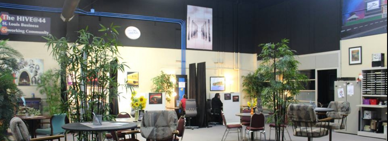 The Hive 44 profile image