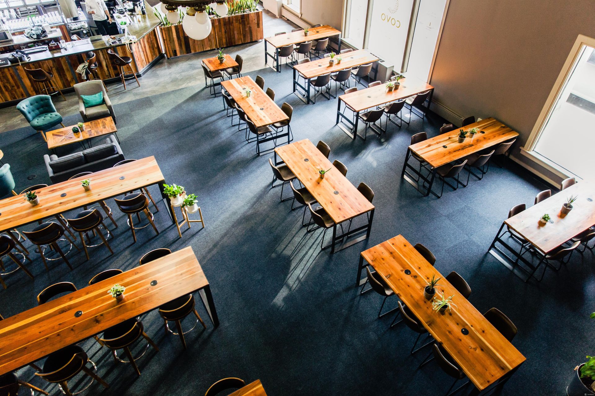 TechArtista Downtown image 2