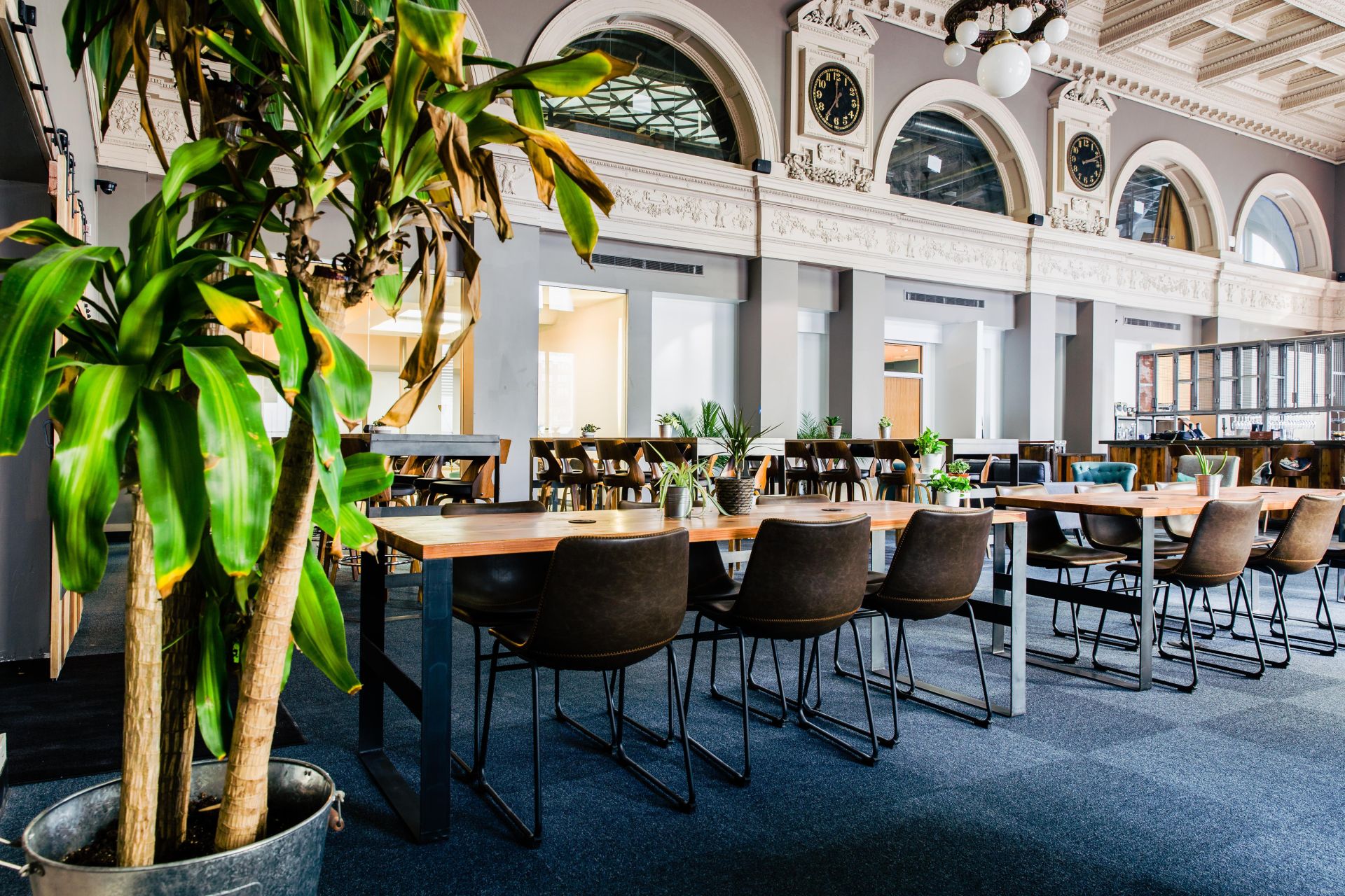 TechArtista Downtown image 4