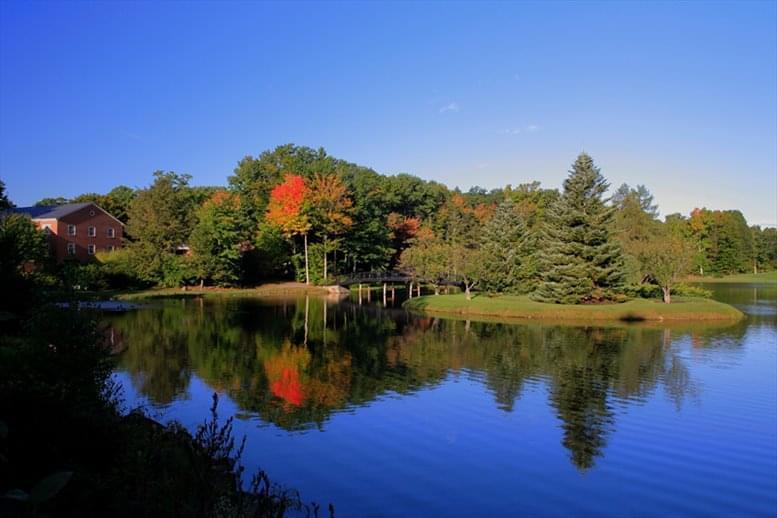 One Liberty Lane image 5