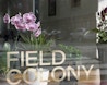 Field Colony image 1