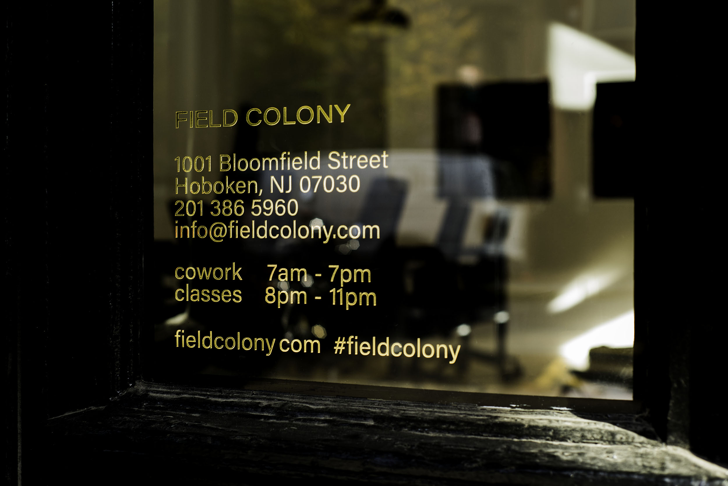 Field Colony image 5