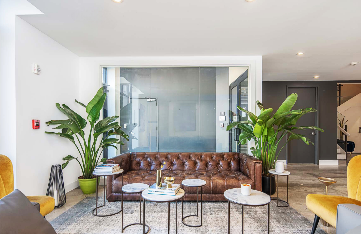 CoLab by DVORA image 3