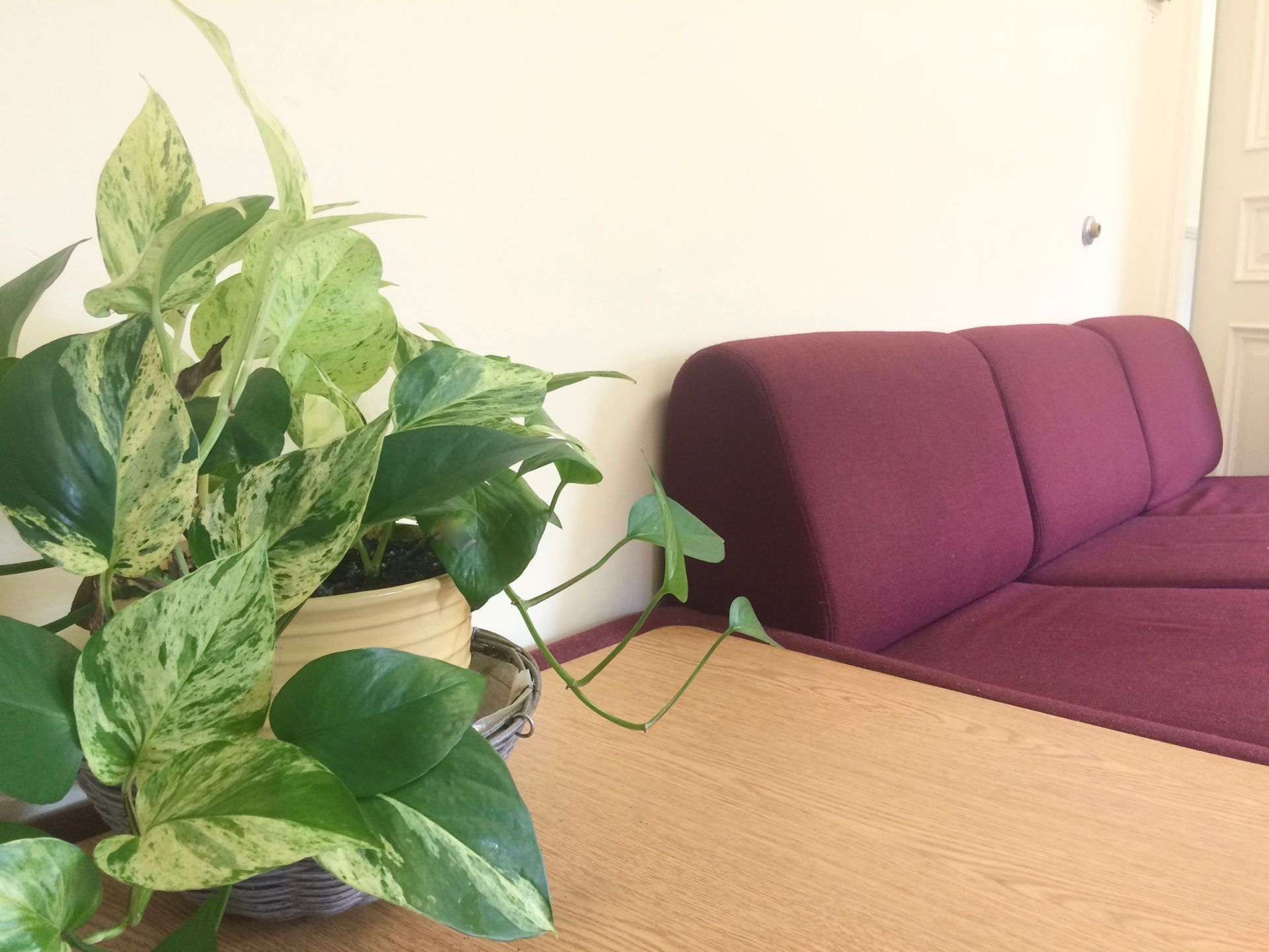 Base Camp - Trenton image 3