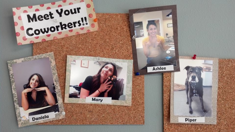 Newton's Cradle image 2