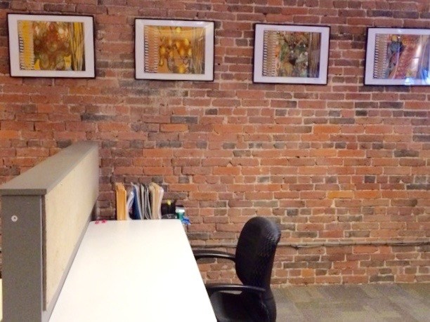 BEAHIVE Albany image 2