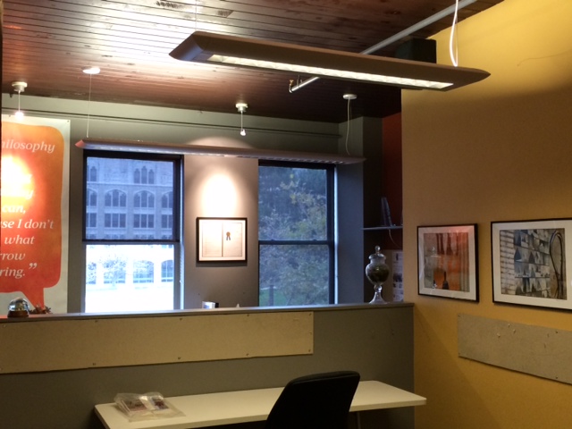 BEAHIVE Albany image 4