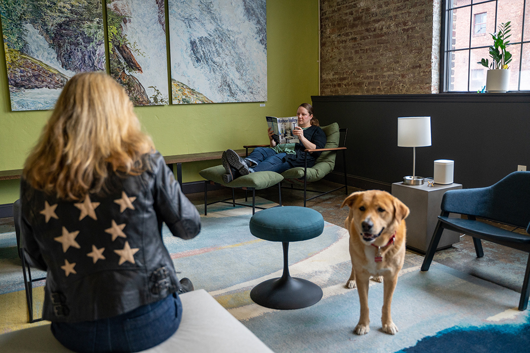 CoWork Kingston image 4