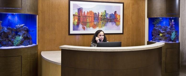 Stark Business Solutions, Inc. image 2