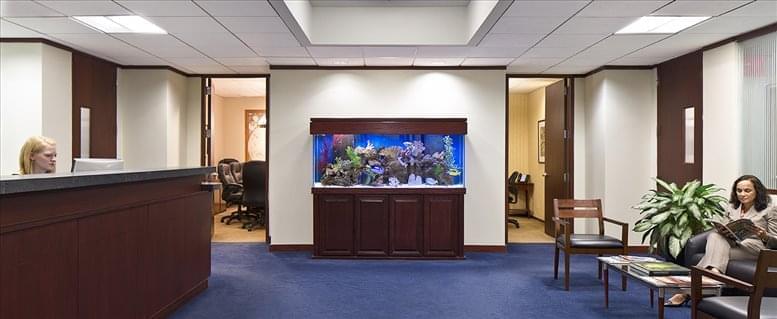 Stark Business Solutions, Inc. image 3