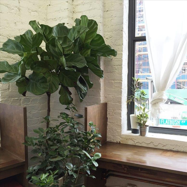 the COMPOUND COWORK image 5