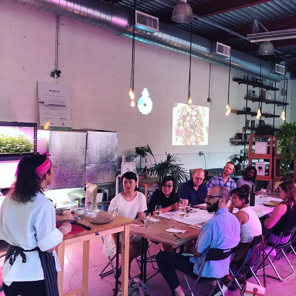 AgTech X Co-Lab image 4