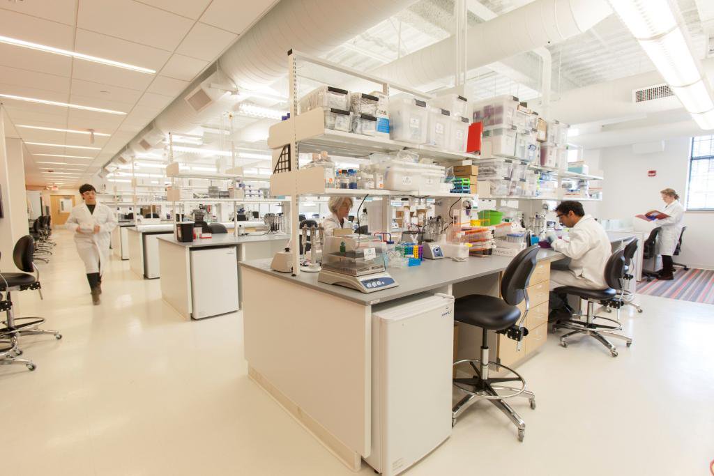 BioLabs New York image 2