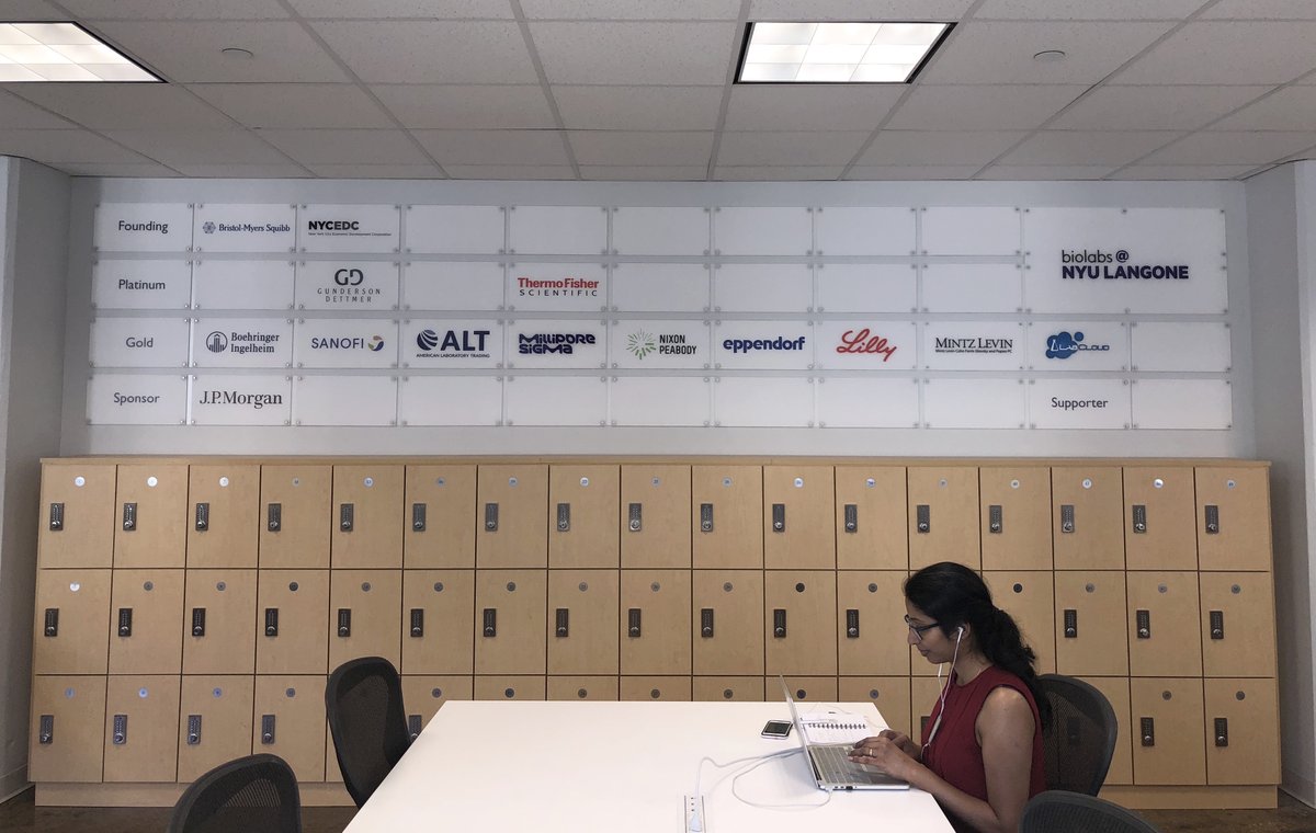 BioLabs New York image 4