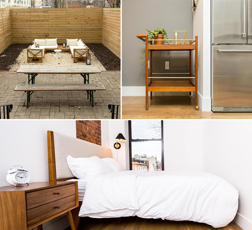 Common Albany image 3