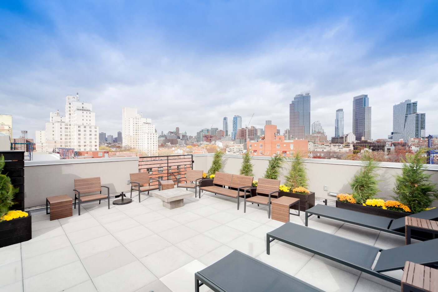 Common Baltic profile image