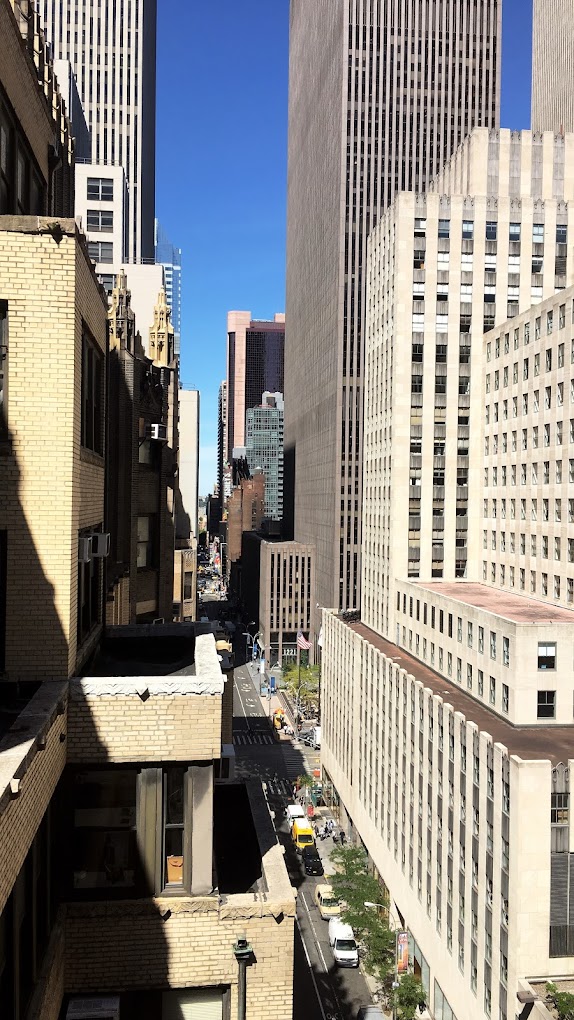 Jocale Studio image 2