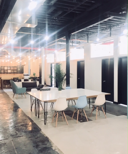 Playground Brooklyn image 4