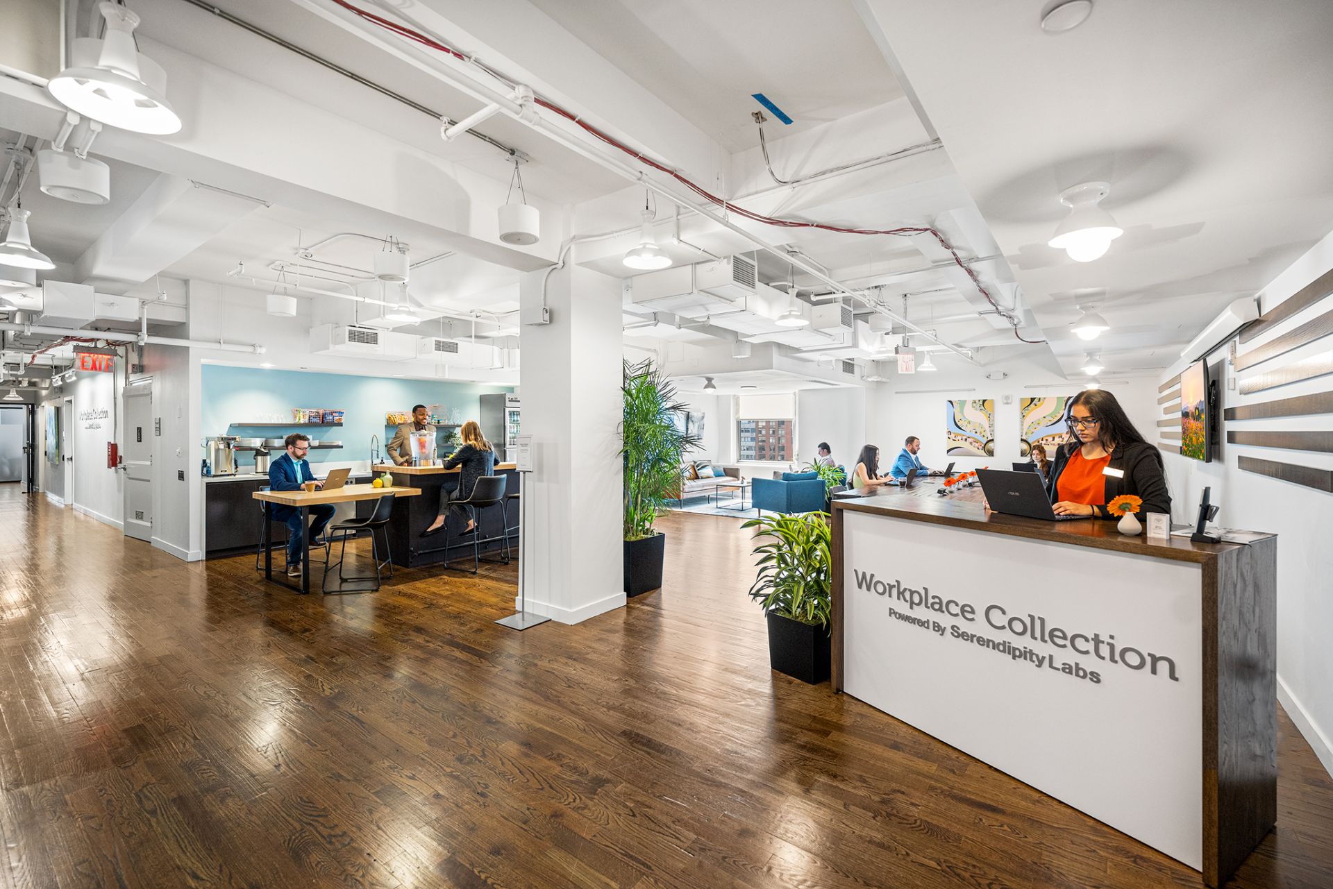 Serendipity Labs New York - Grand Central image 5