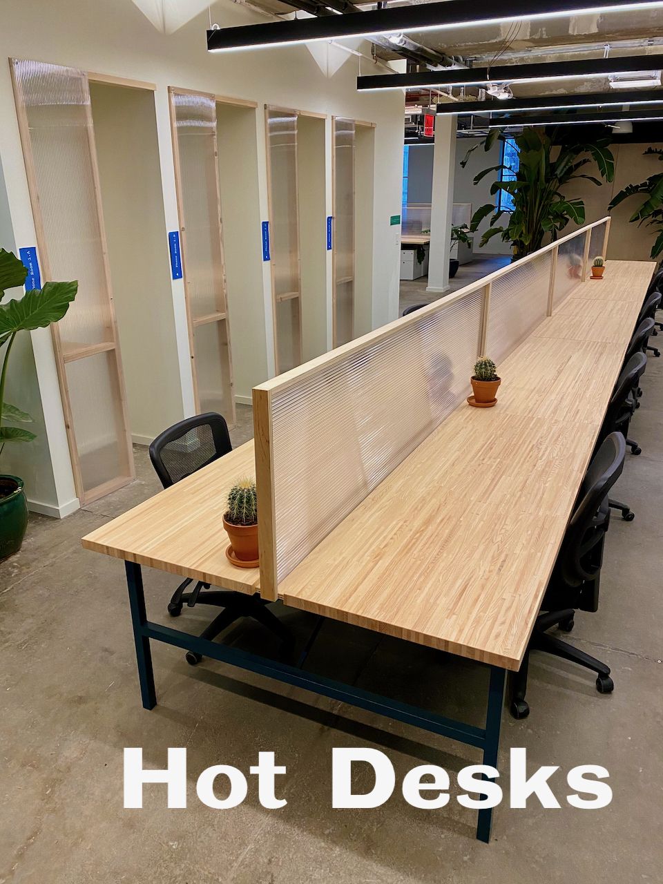 The Harlem Collective image 4