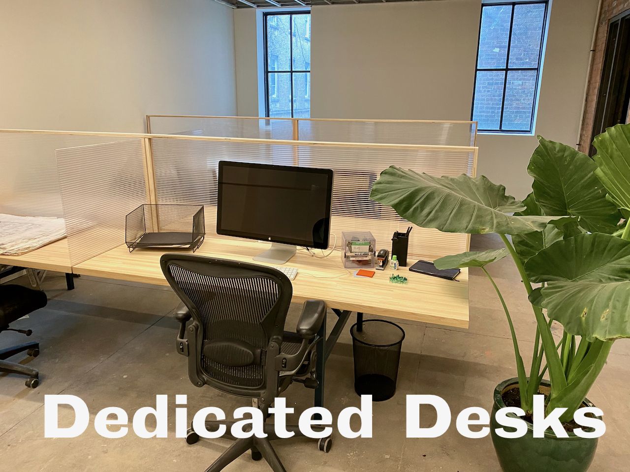 The Harlem Collective image 3