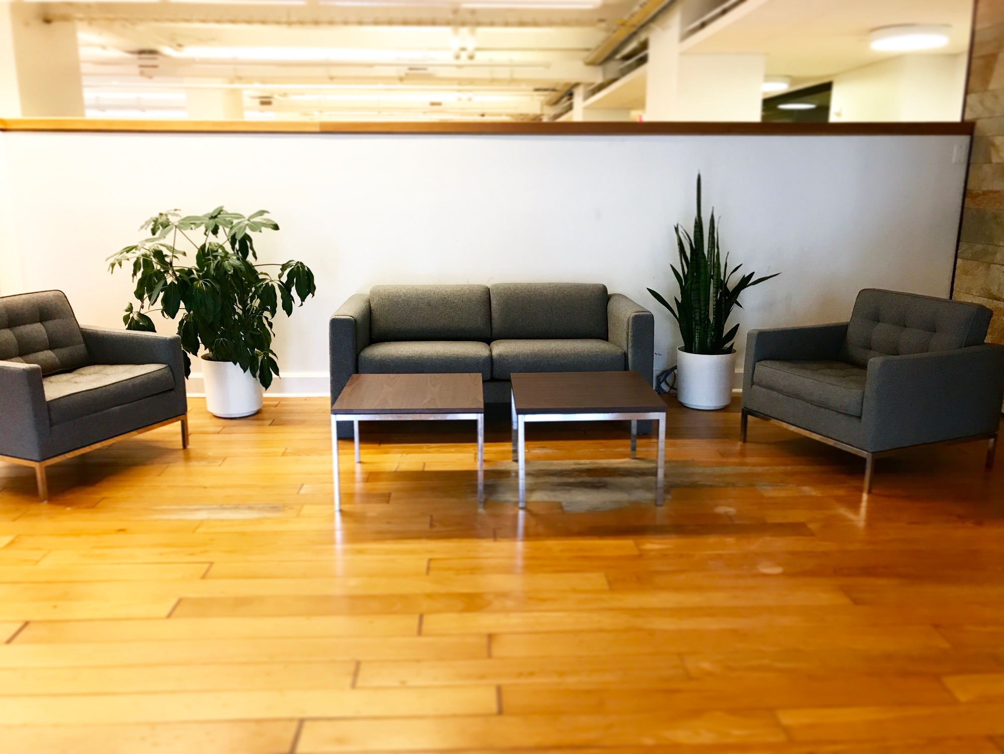 The Suite Project image 2